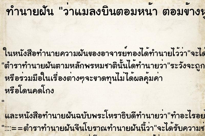 ทำนายฝัน ว่าแมลงบินตอมหน้า ตอมข้างหู ทำนายฝัน ว่าแมลงบินตอมหน้า ตอมข้างหู